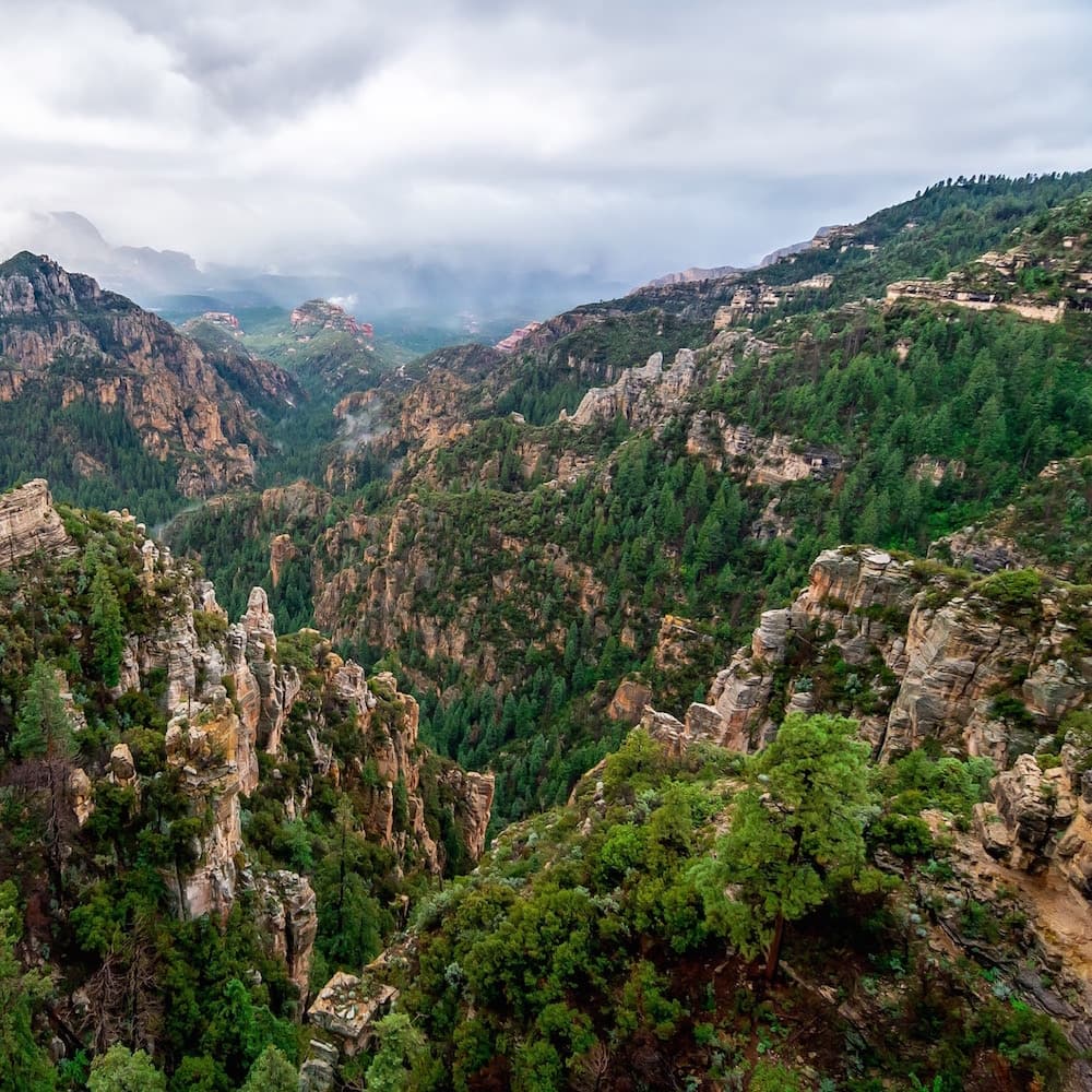 Coconino National Forest — 