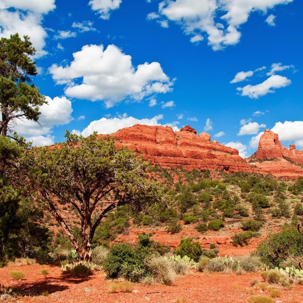 Coconino National Forest — 