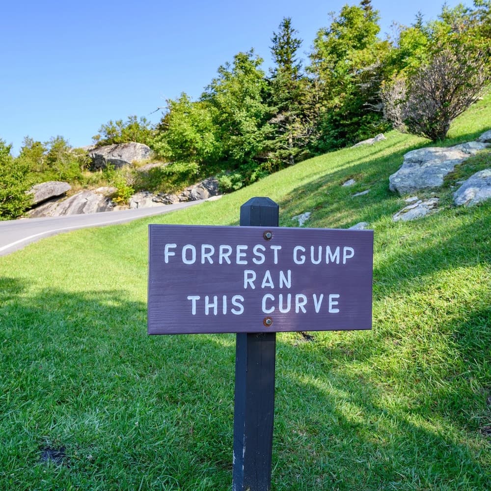 Forrest Gump Curve — 