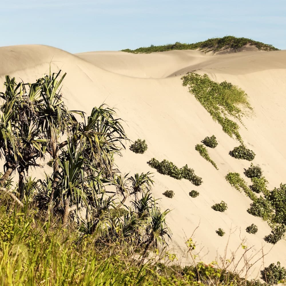Sigatoka Sand Dunes — 
