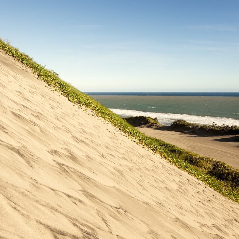 Sigatoka Sand Dunes — 
