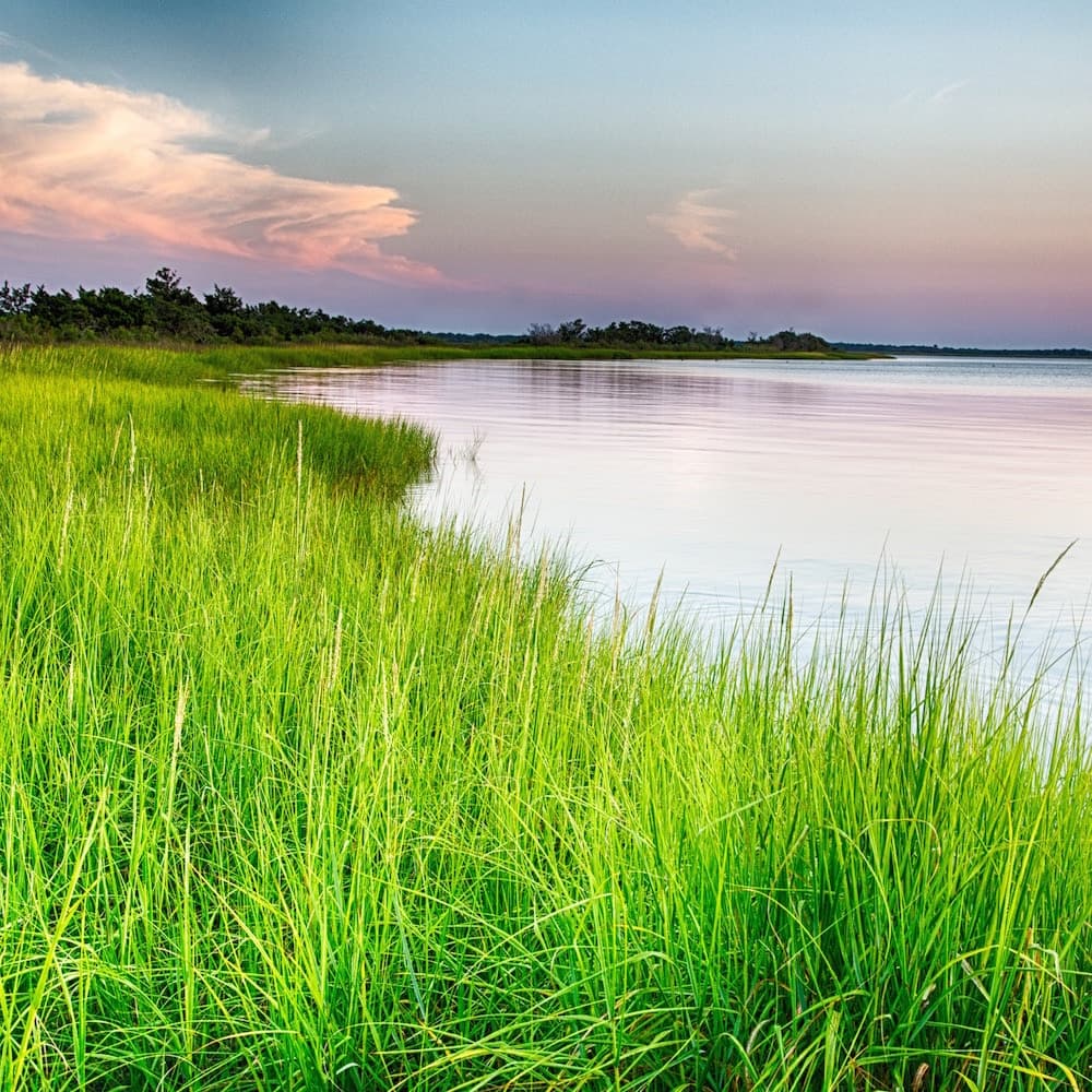 Cape Fear River — North Carolina, United States, North America