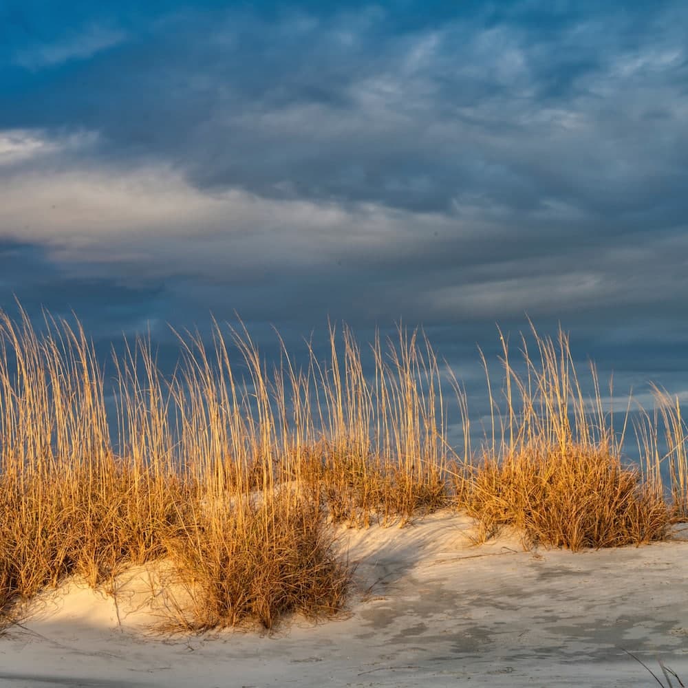 Hunting Island State Park — South Carolina, United States, North America