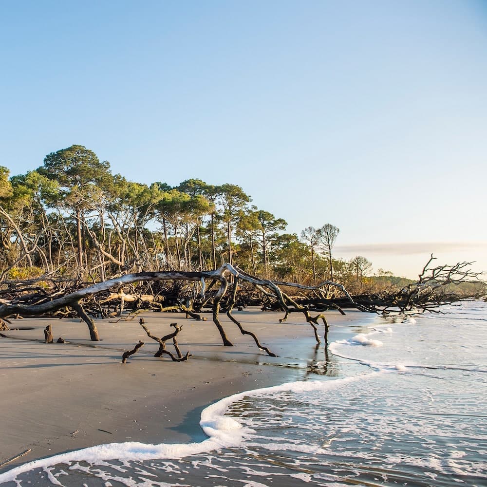 Hunting Island State Park — 