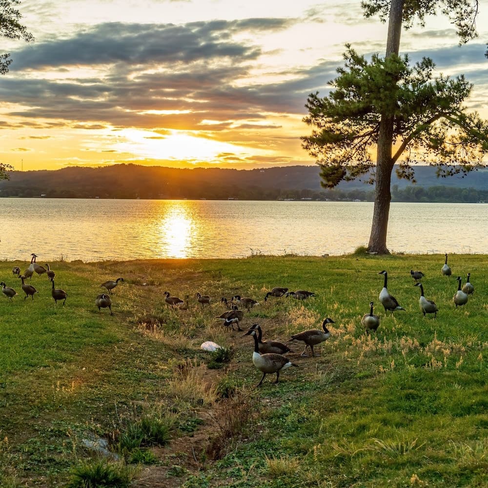 Lake Guntersville — 