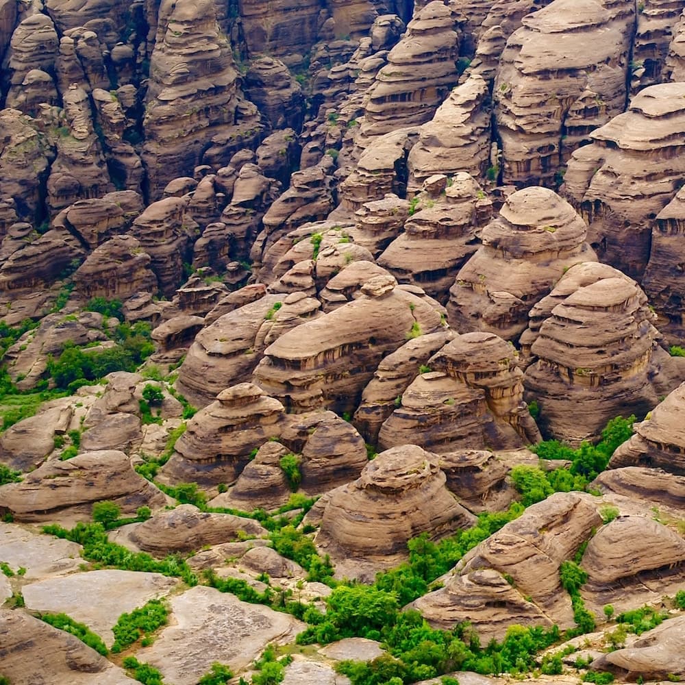 Jazan — 