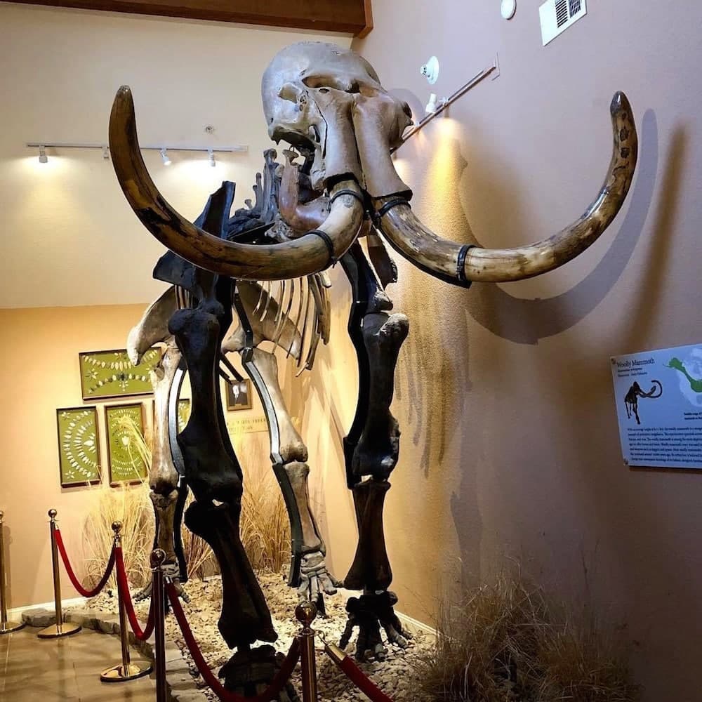 Museum of Native American History — 