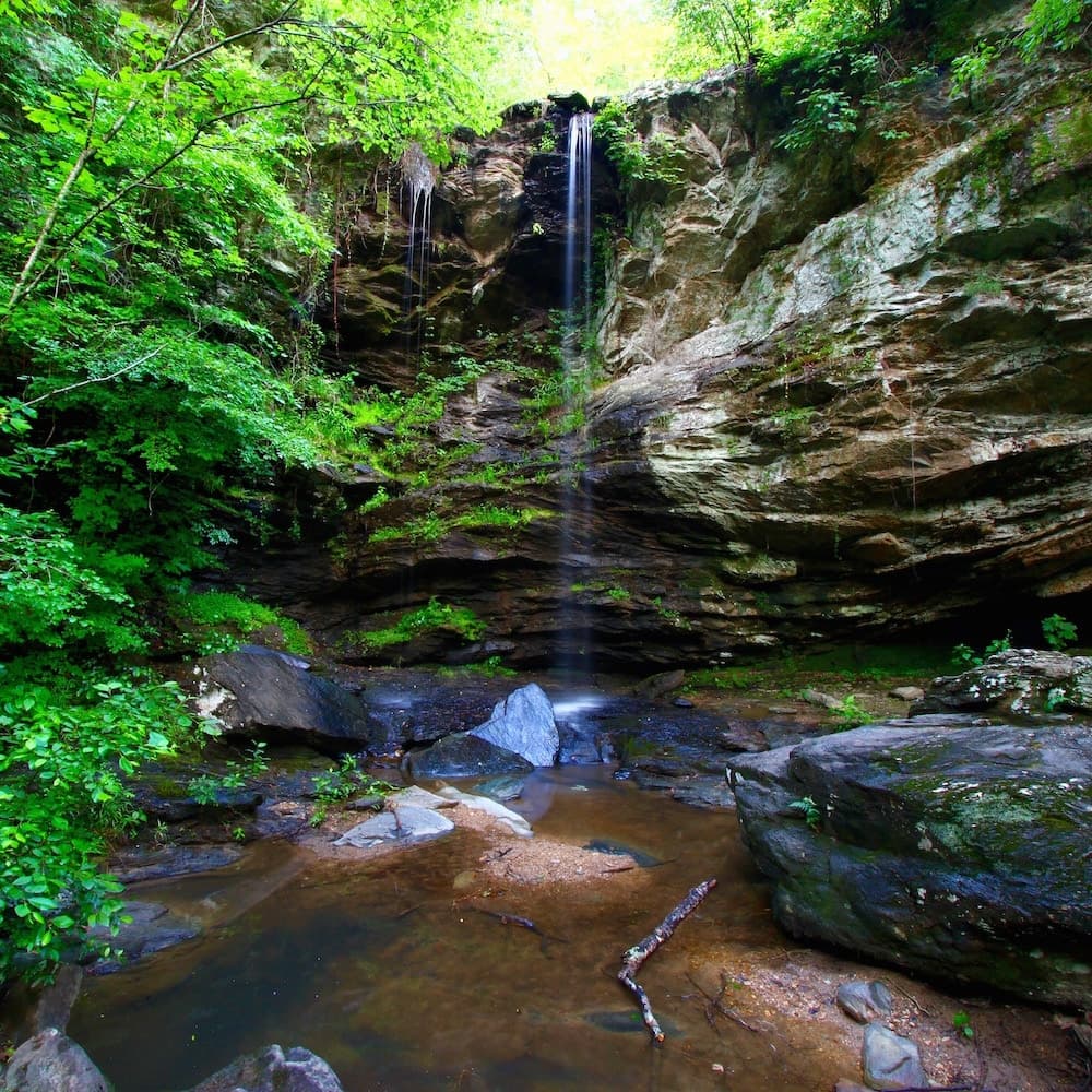 Talladega National Forest — Alabama, United States, North America