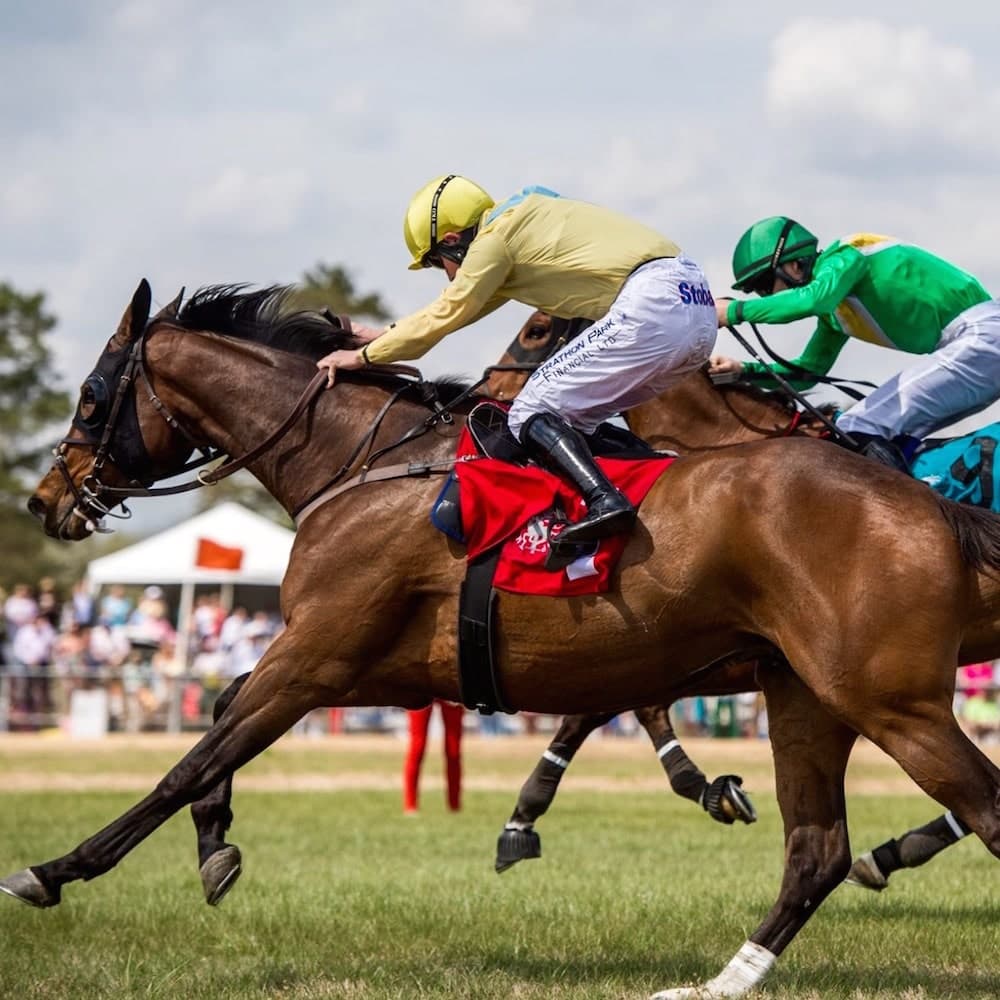 Carolina Cup — South Carolina, United States, North America