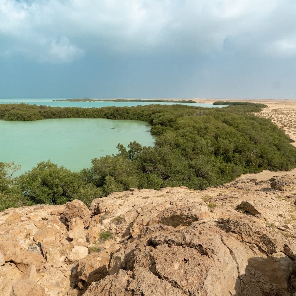 Farasan Islands — 