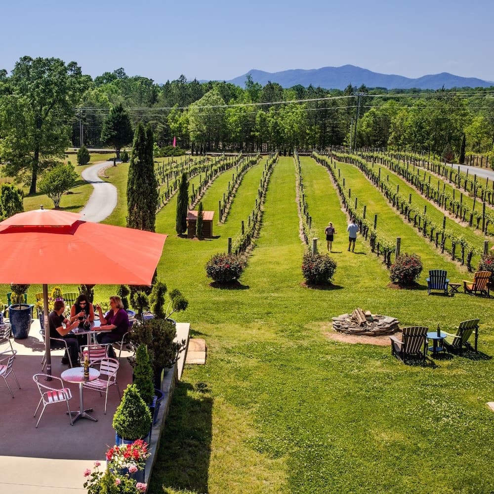 Overmountain Vineyards — 