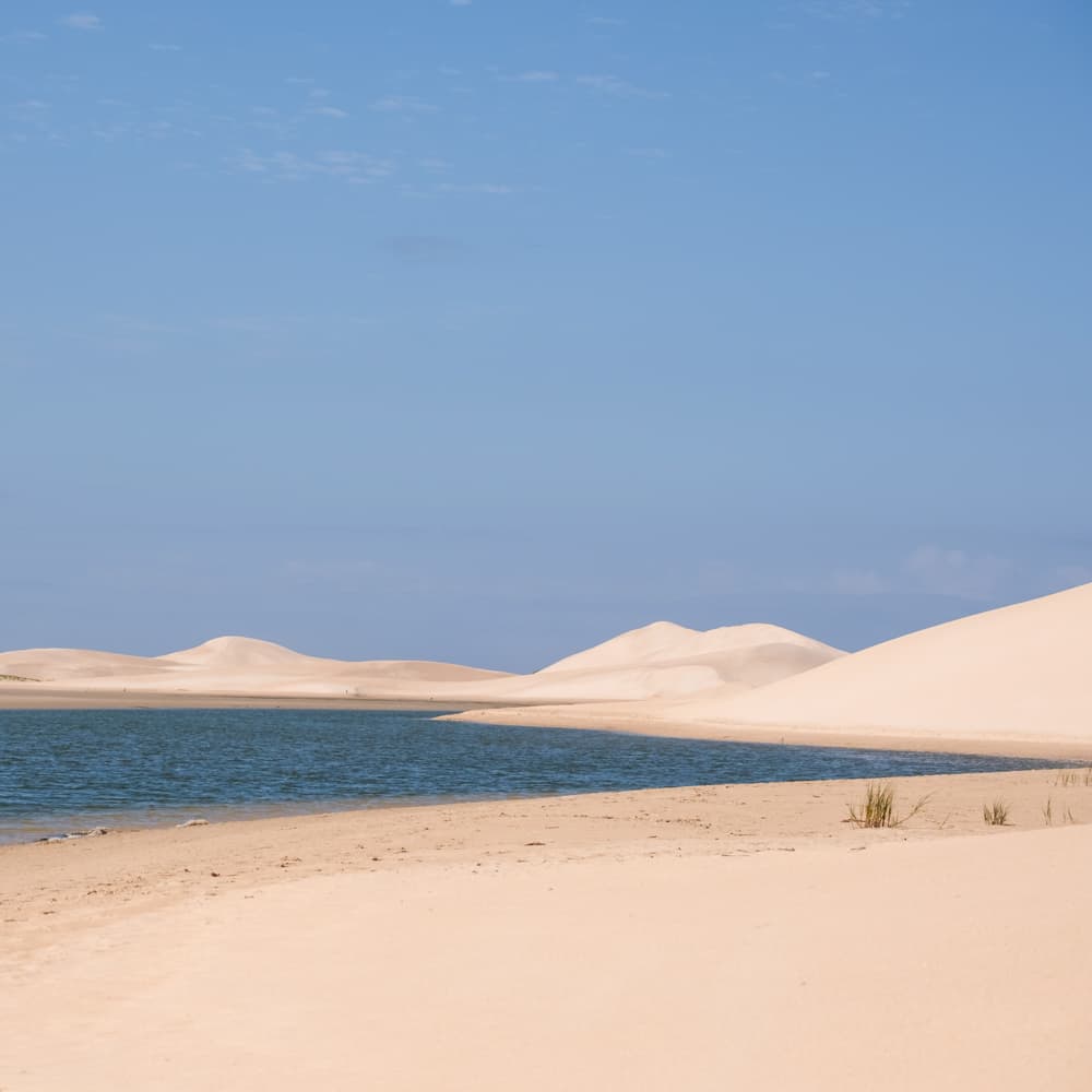 Alexandria Dunes — South Africa, Africa