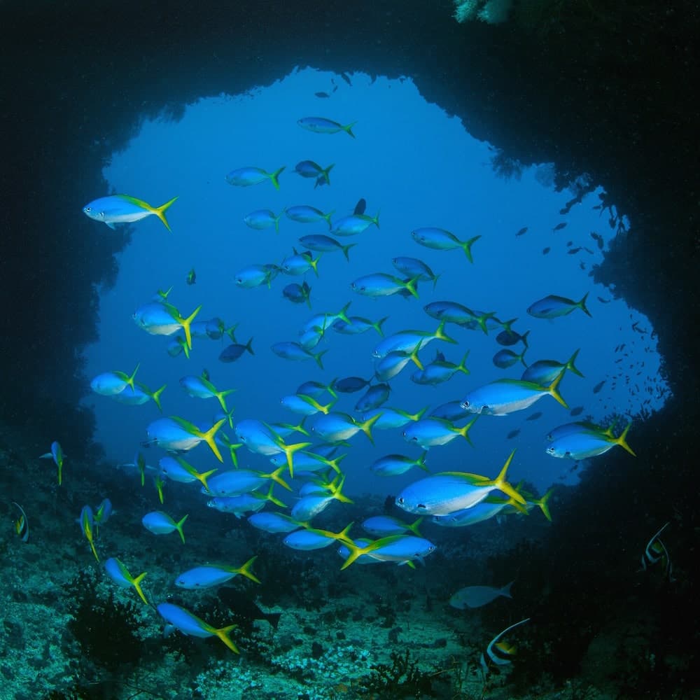 Beqa Lagoon — Fiji, Oceania