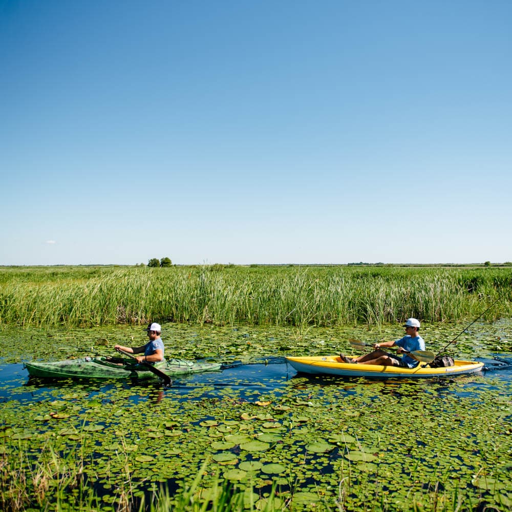 Creole Nature Trail All-American Road — 