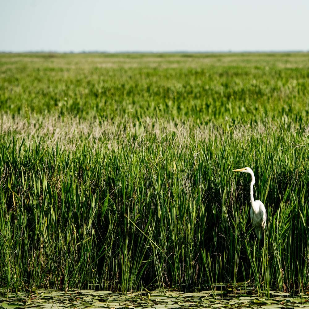 Creole Nature Trail All-American Road — 