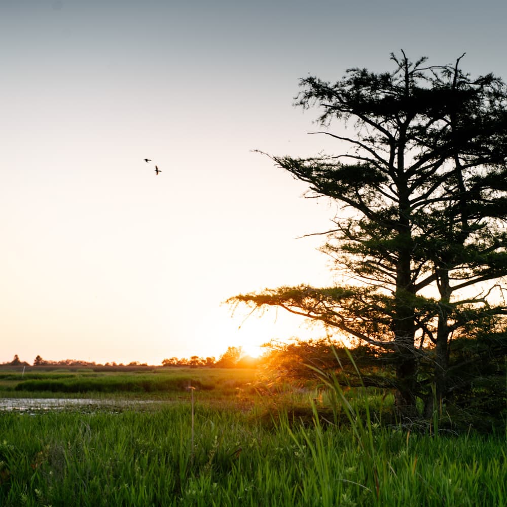 Creole Nature Trail All-American Road — 