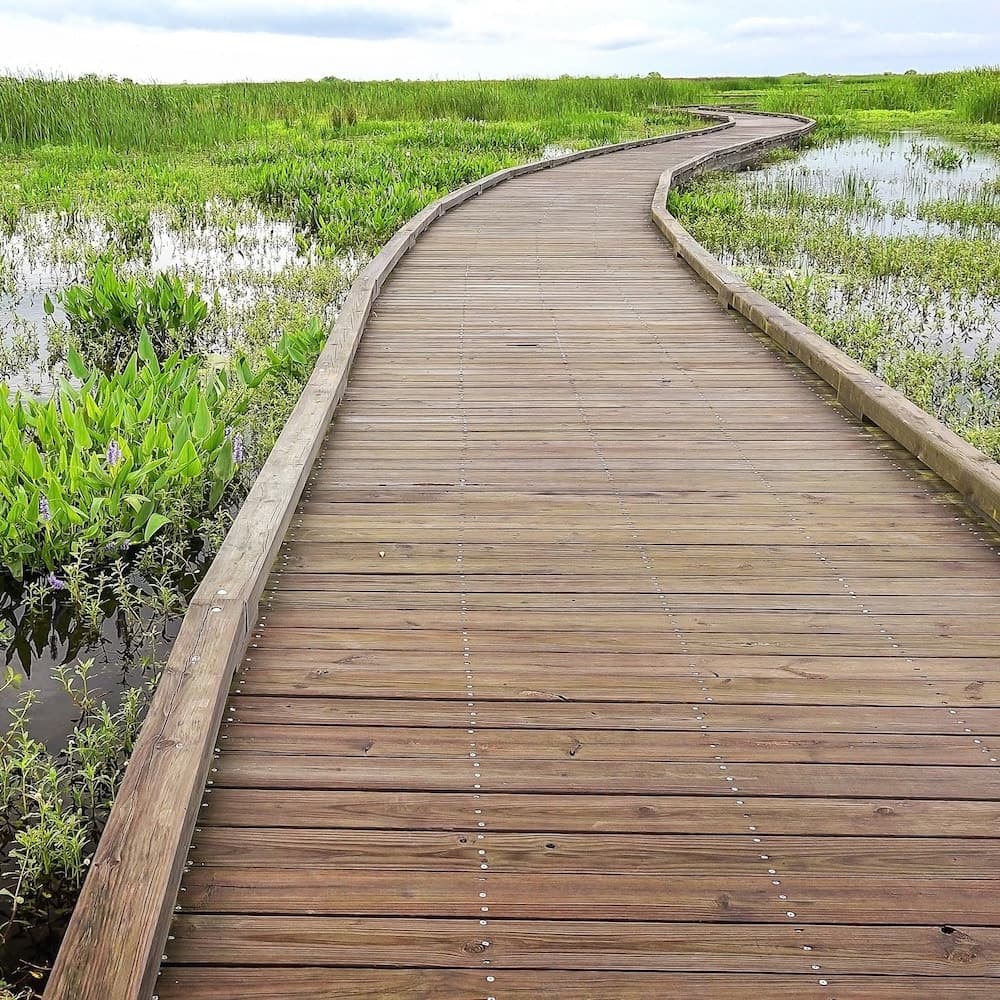 Creole Nature Trail All-American Road — 