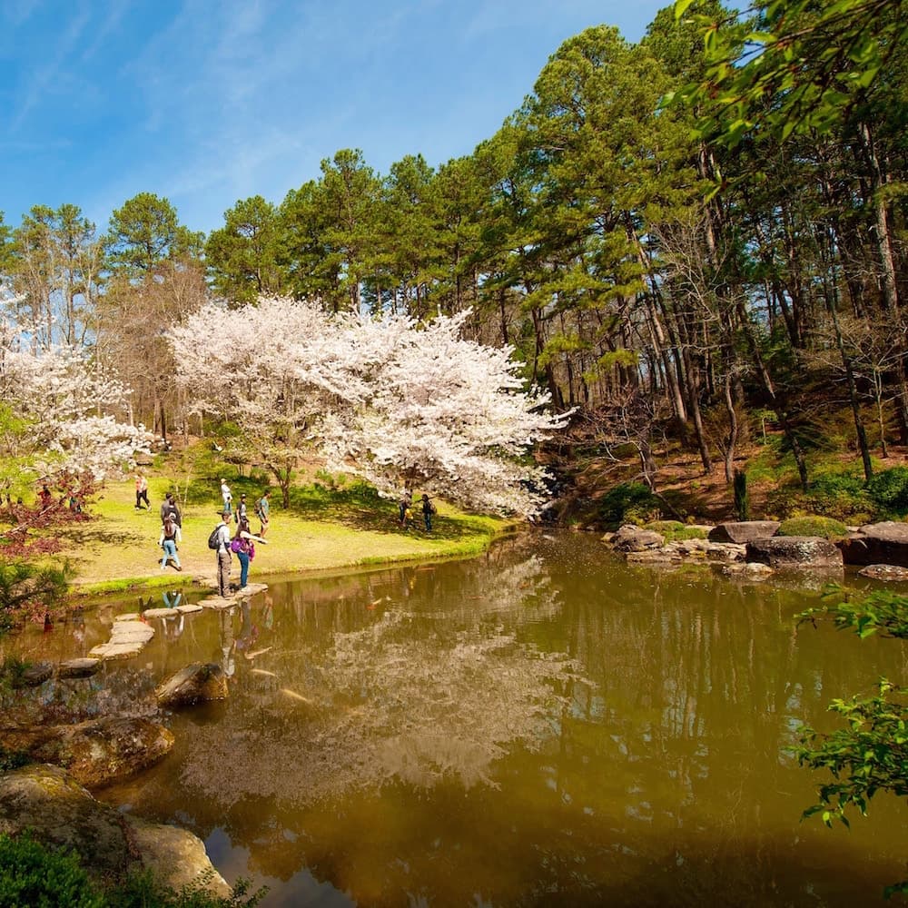 Garvan Woodland Gardens — 