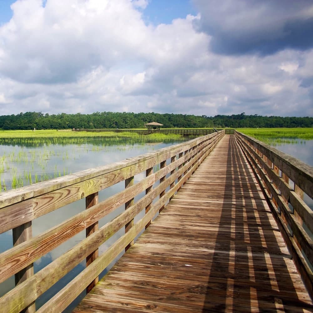 Huntington Beach State Park — 