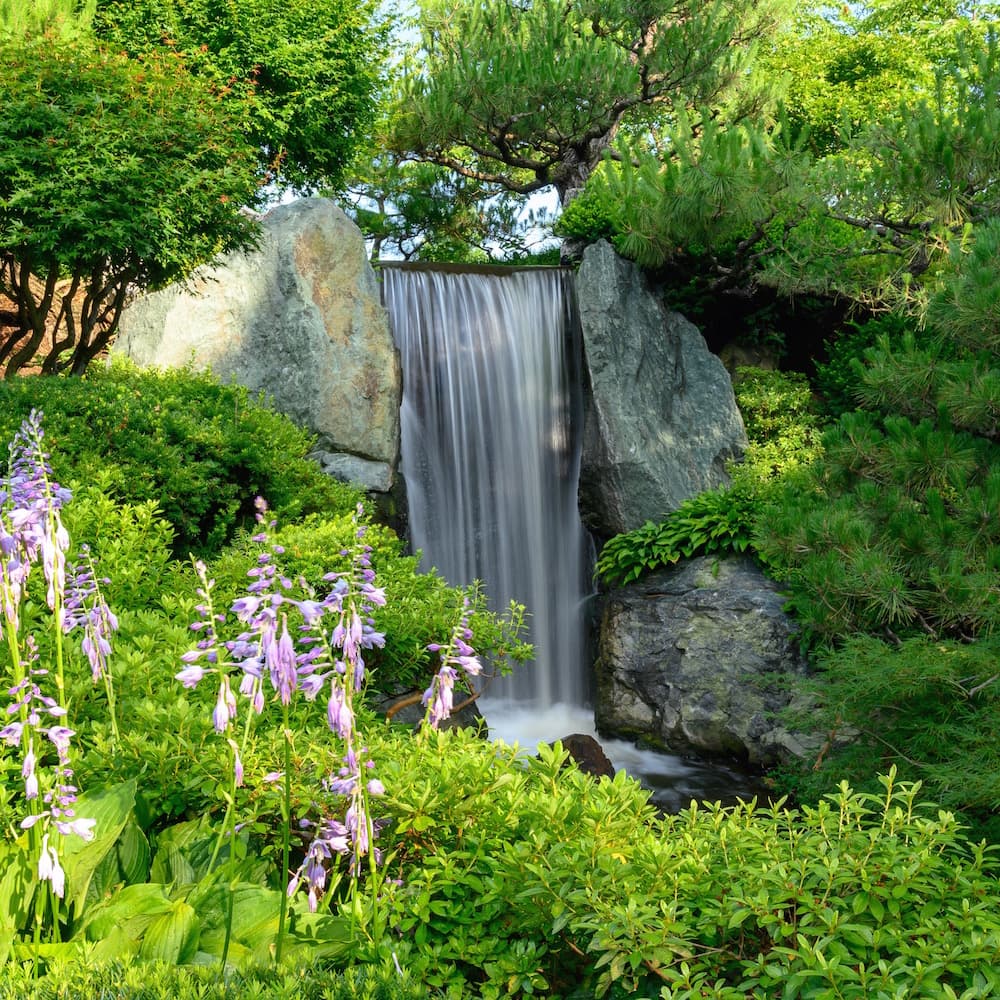 Missouri Botanical Garden — 