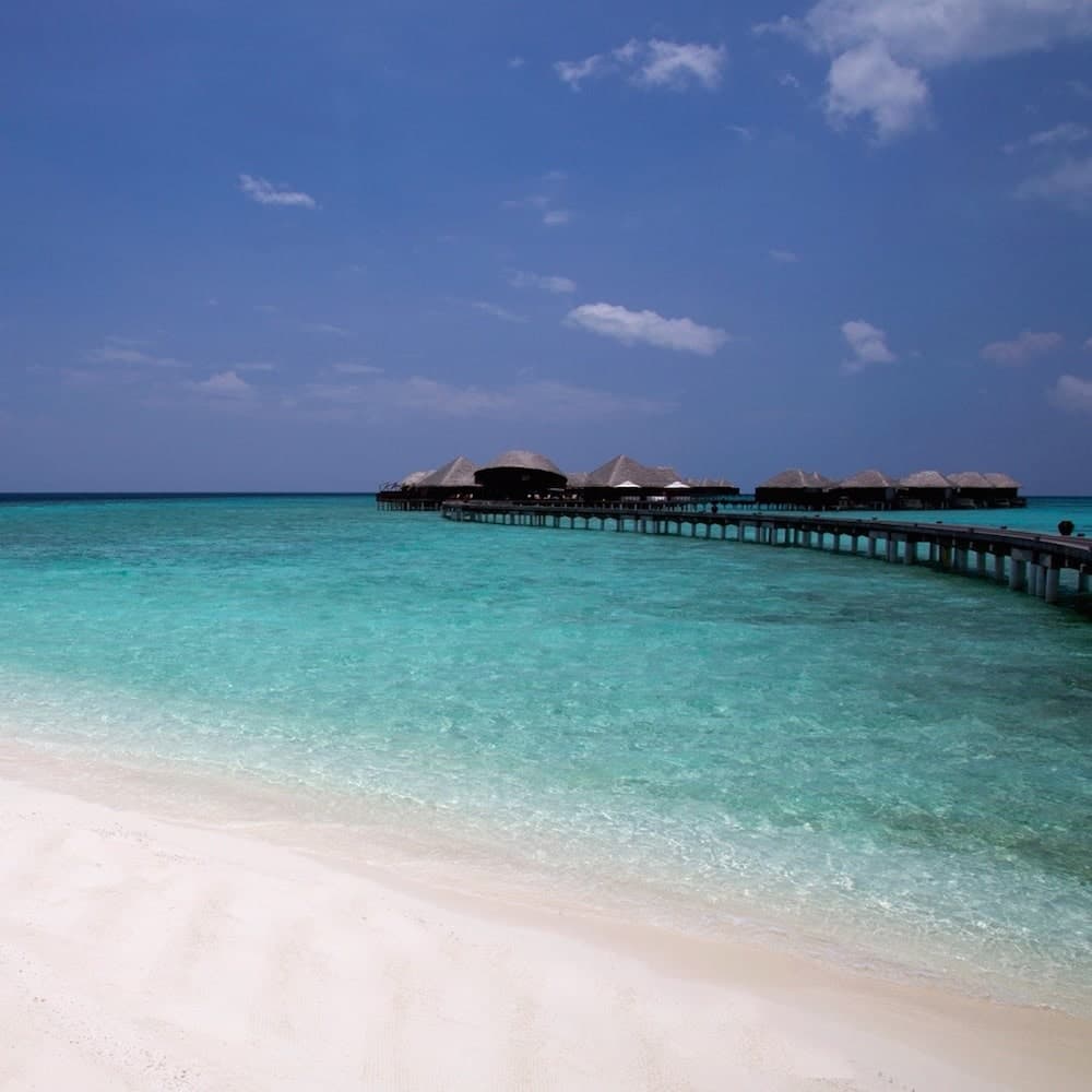 Coco Bodu Hithi — 