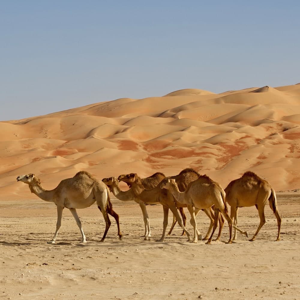 Rub' al Khali Desert — 