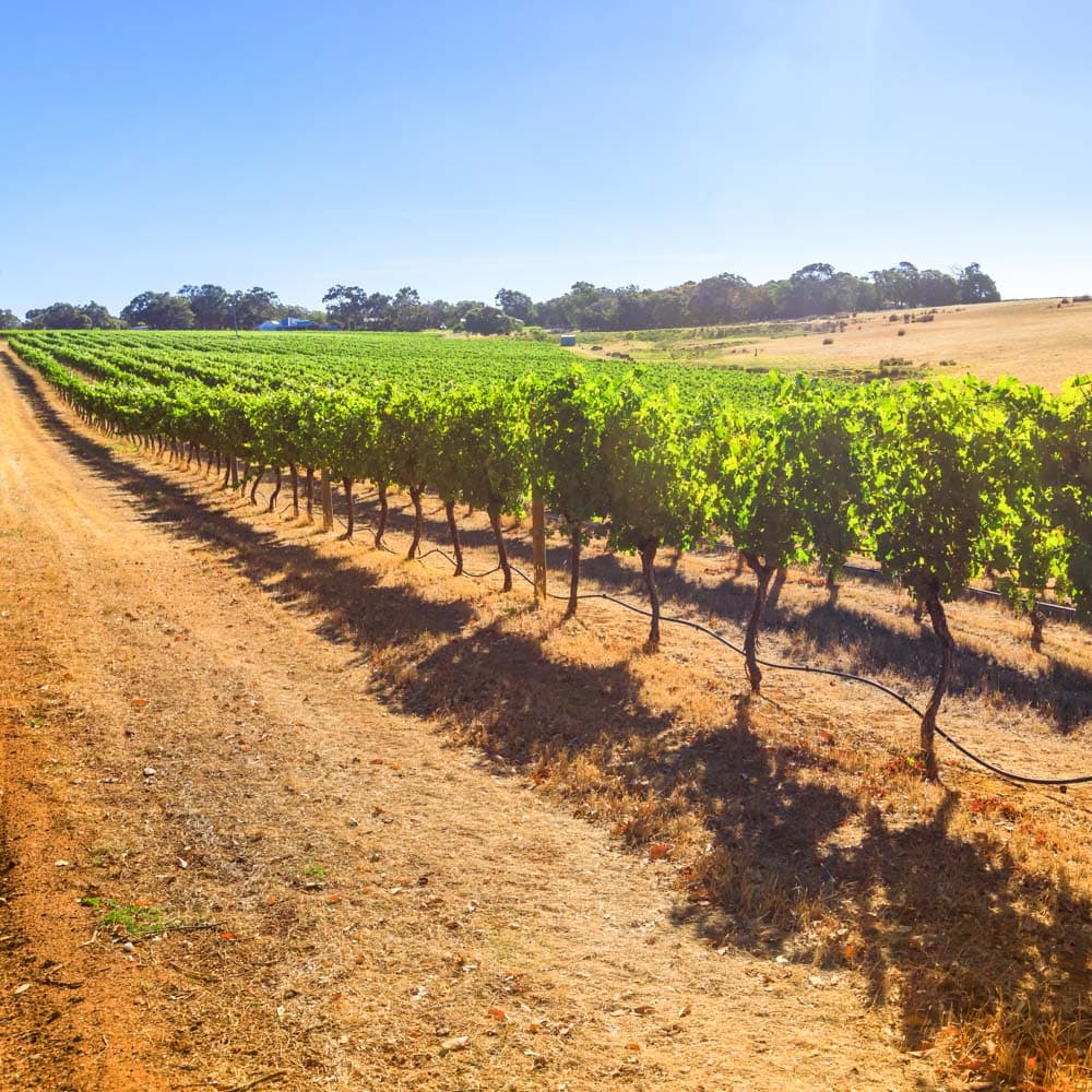 Margaret River — 