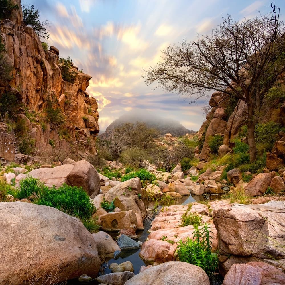Taif — 
