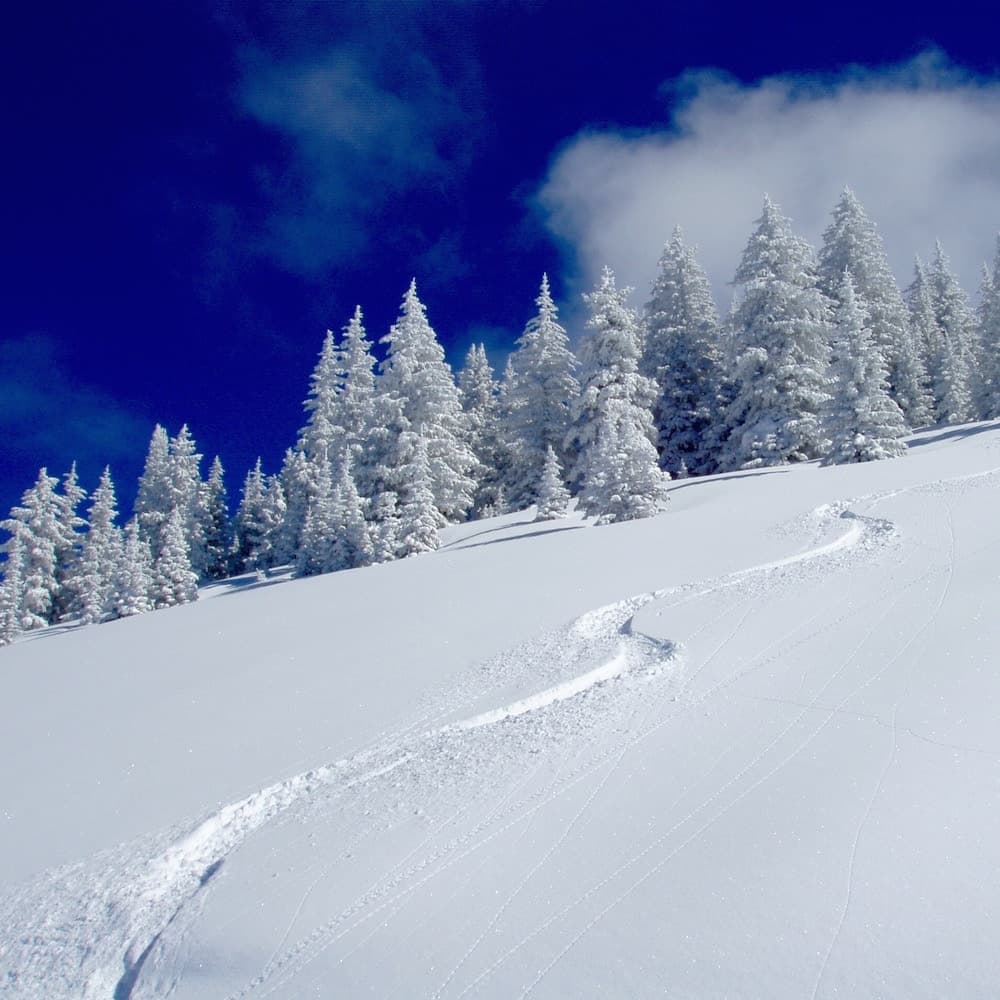 Vail — 