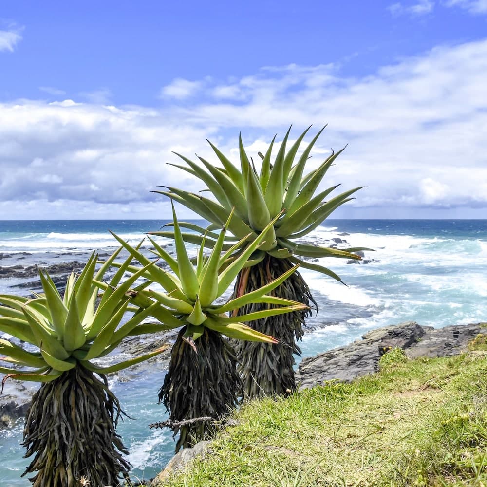 Coffee Bay — South Africa, Africa