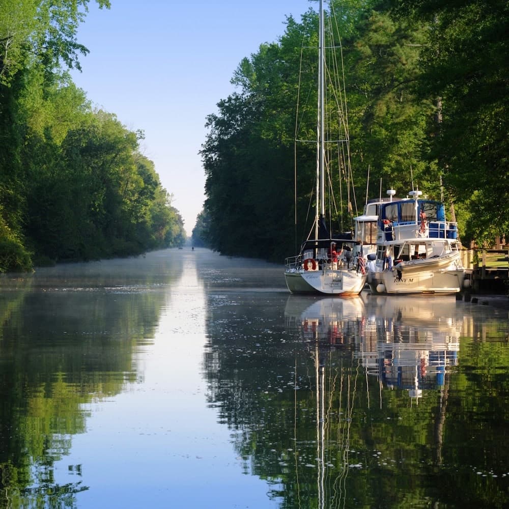 Great Dismal Swamp — North Carolina, United States, North America