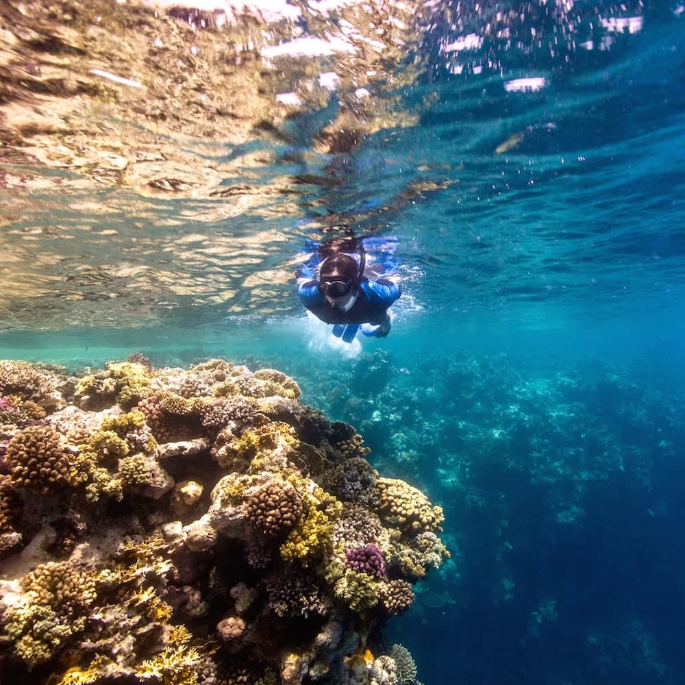 Desert Sea Divers — 