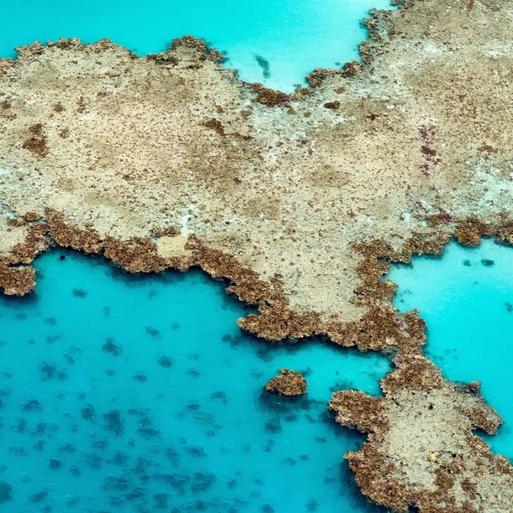 Desert Sea Divers — 