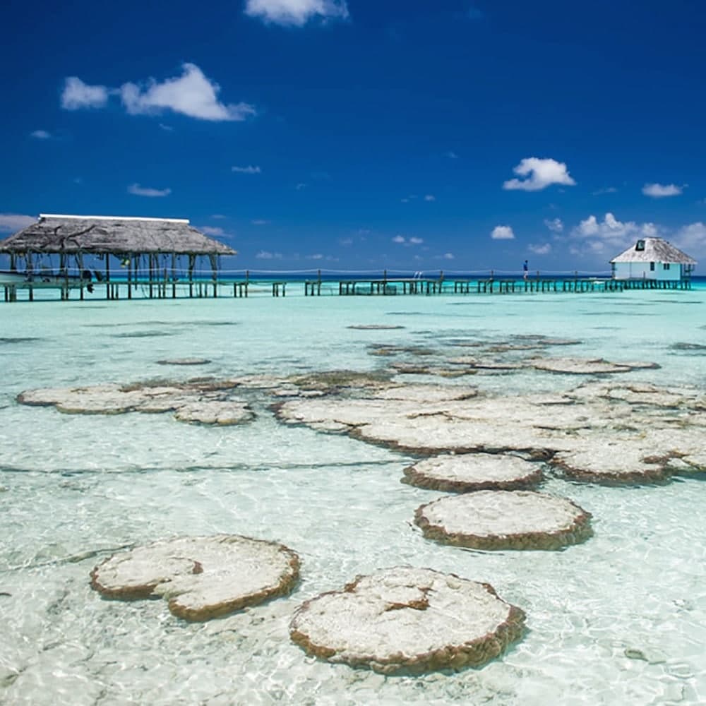 Havaiki Lodge, Fakarava — 