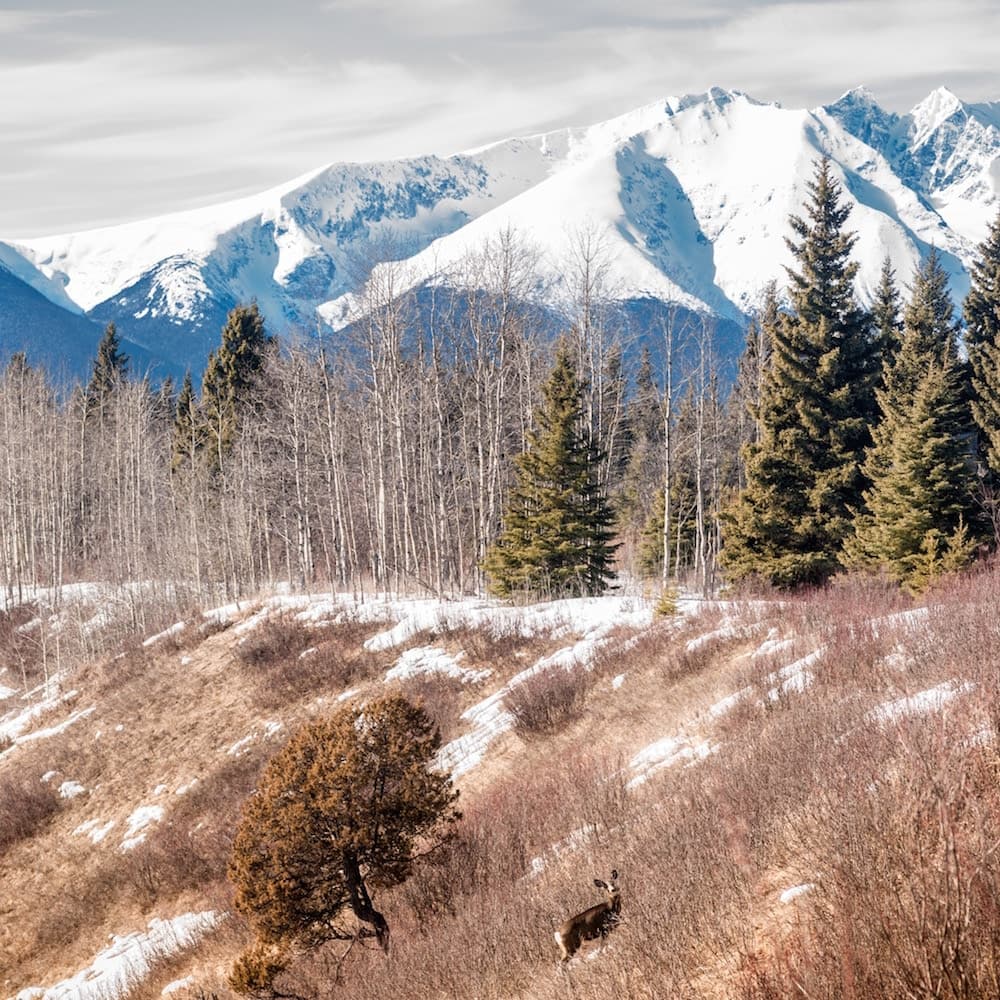 Hudson Bay Mountain — Canada, North America