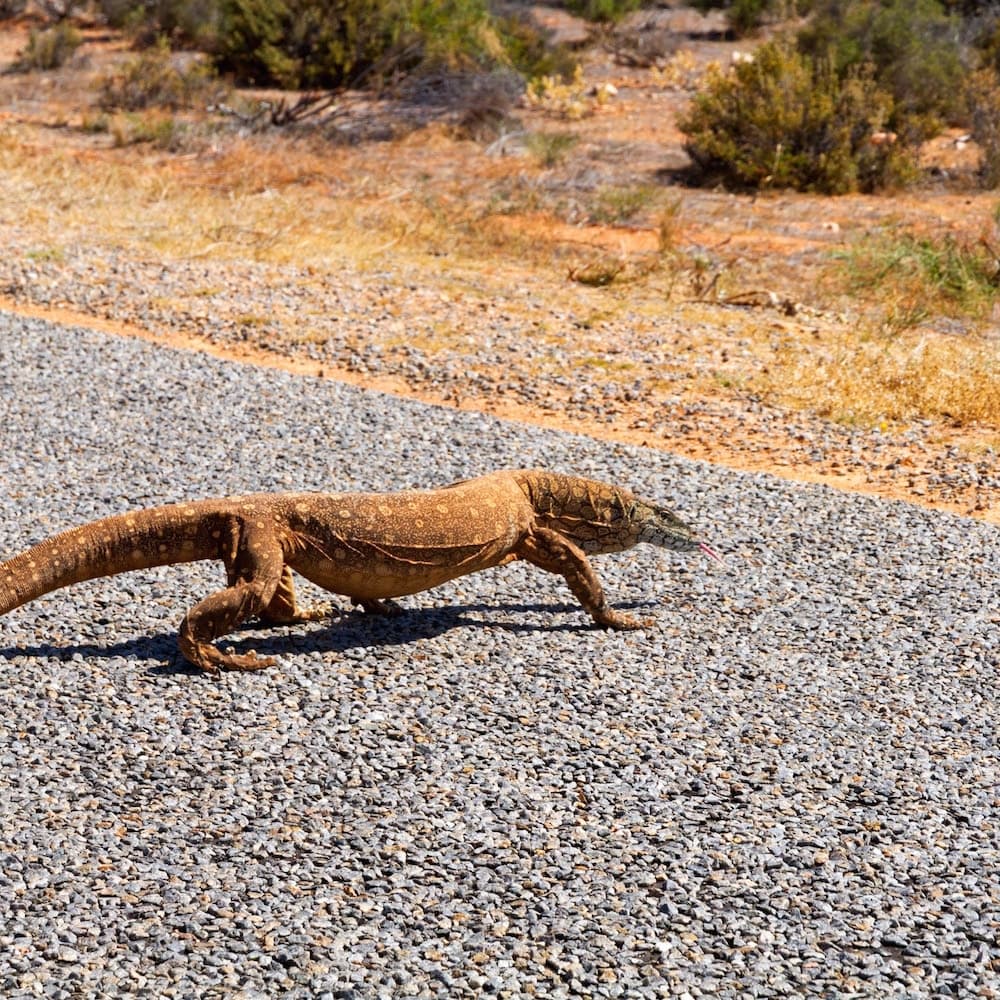 Kalbarri National Park — 