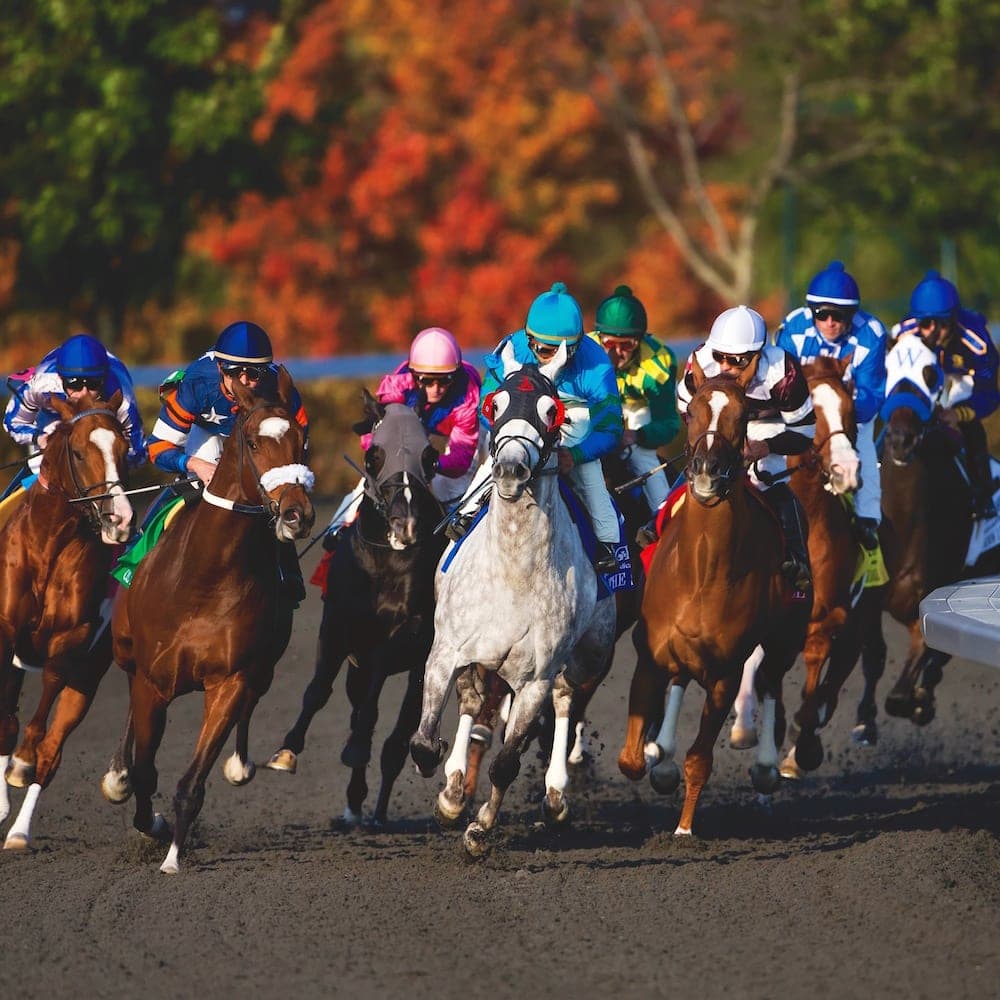 Keeneland — 