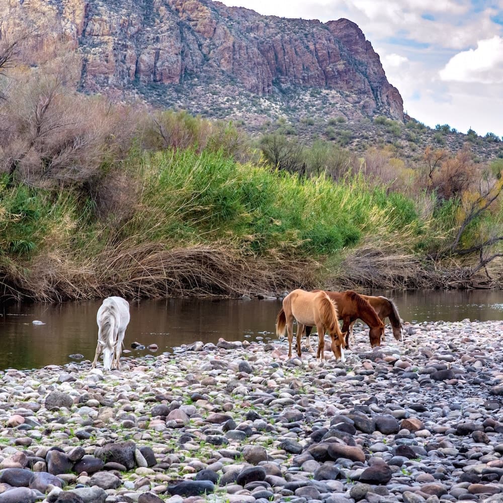 Lower Salt River — Arizona, United States, North America