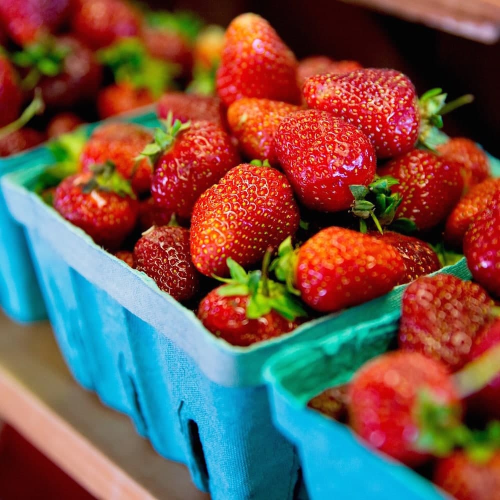 Orr's Farm Market — 