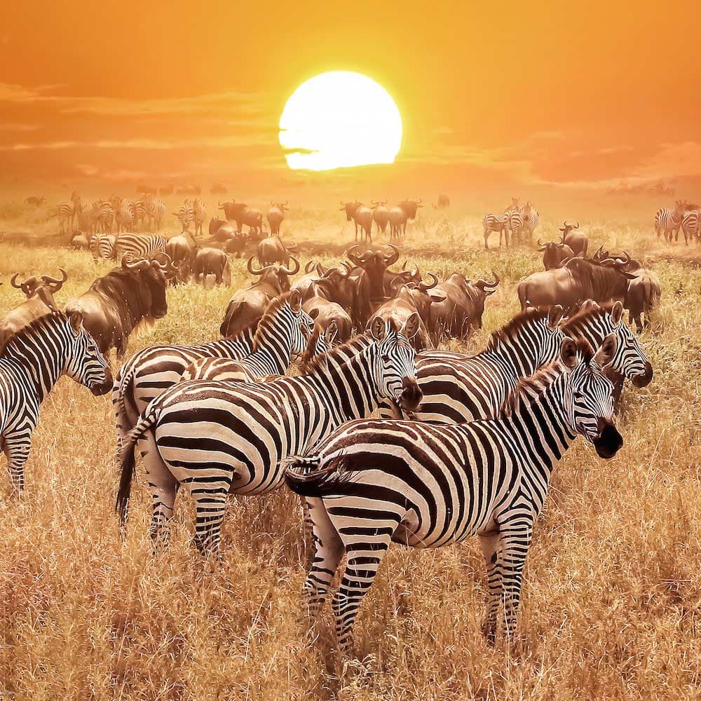 Serengeti National Park — 