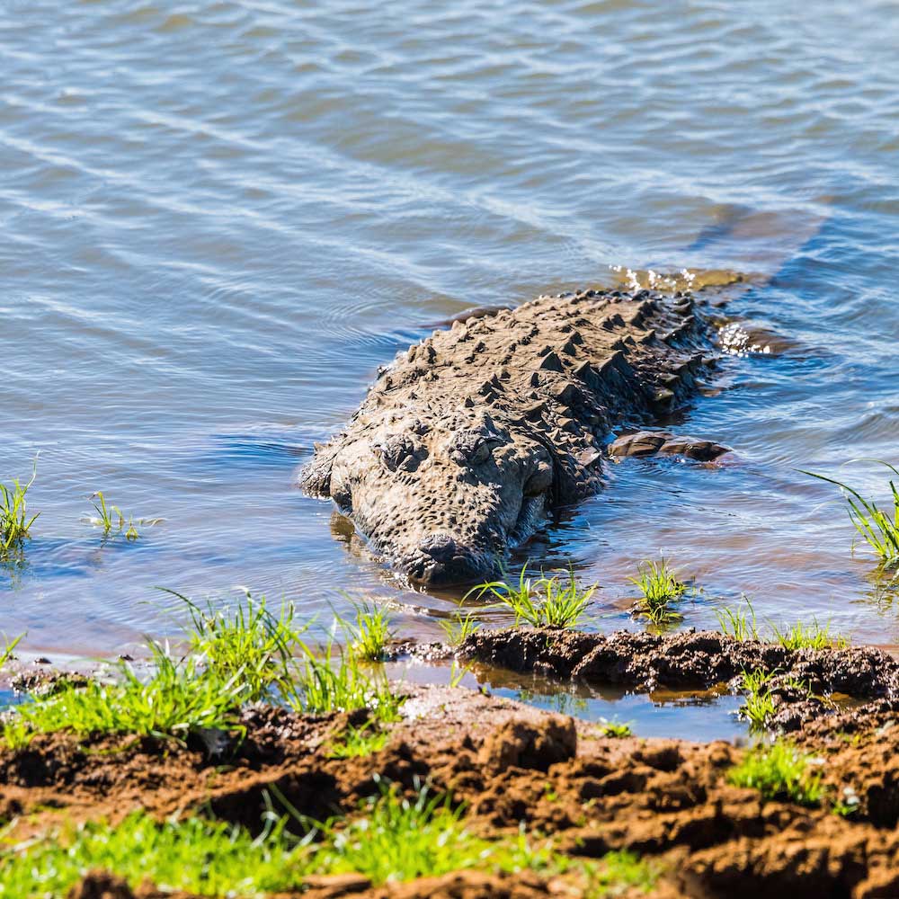 Udawalawe National Park — Sri Lanka, Asia