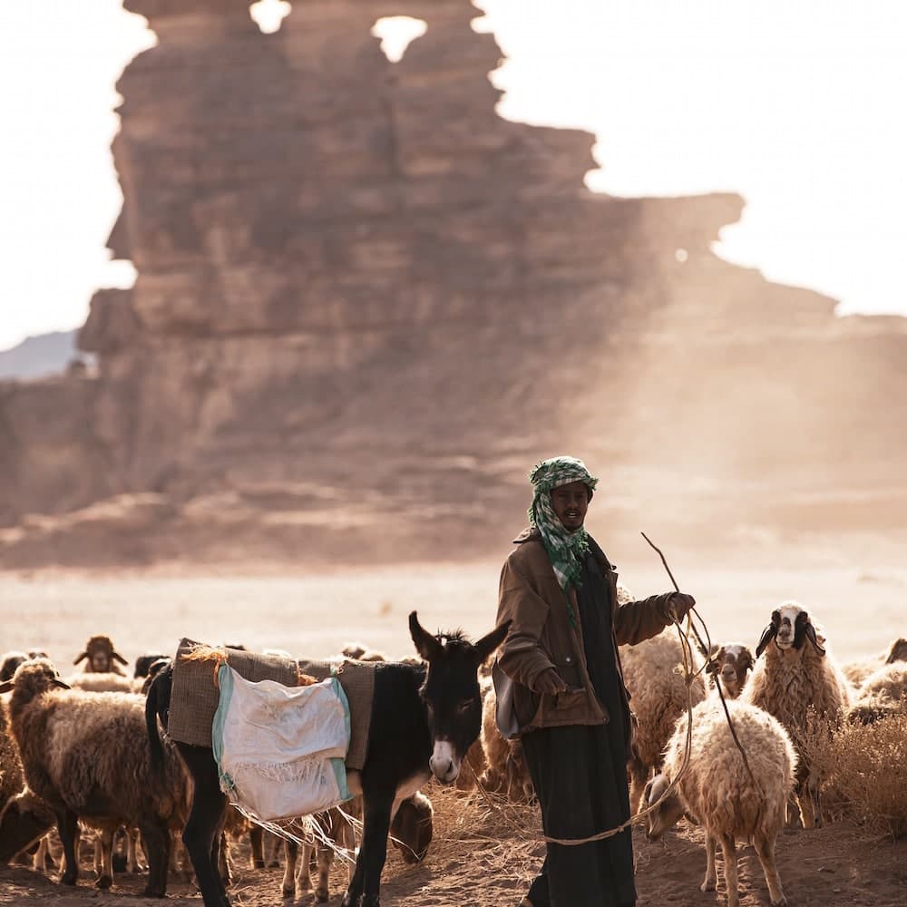Tabuk — 