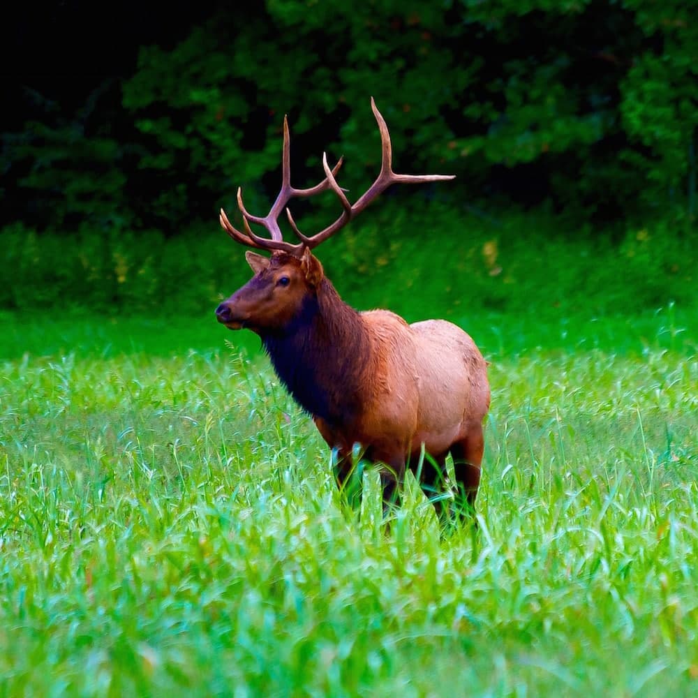 Boxley Valley — Arkansas, United States, North America