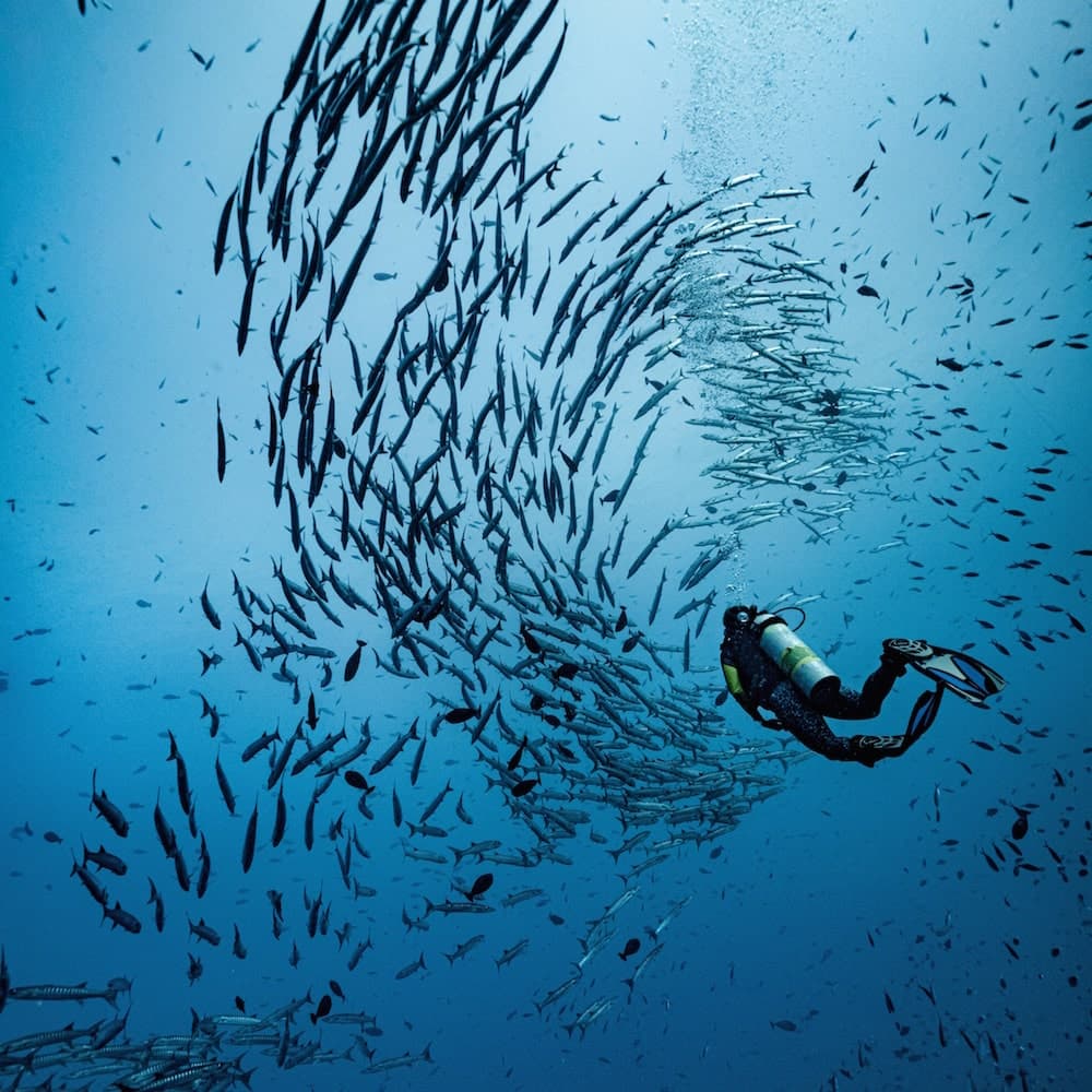 Bradford Shoals — Papua New Guinea, Oceania