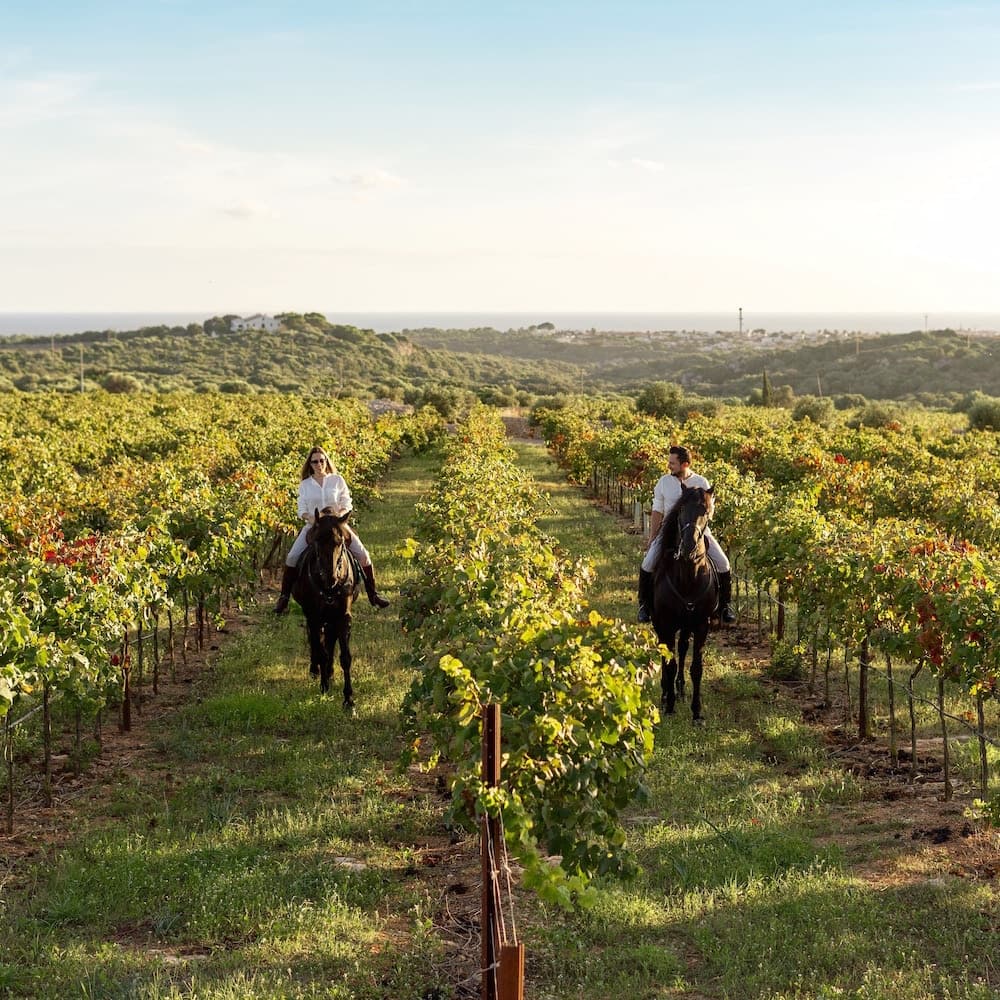 Bodegas Torralbenc — 