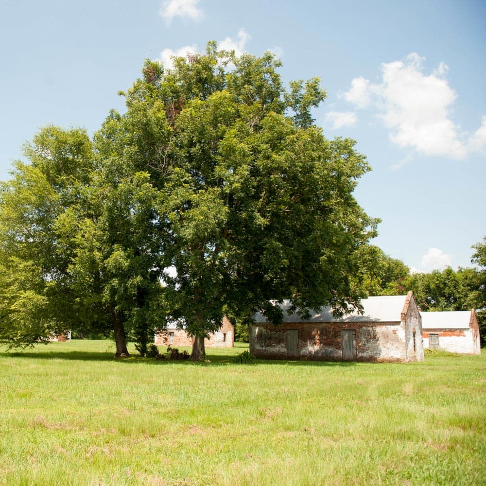 Cane River Creole National Park — 