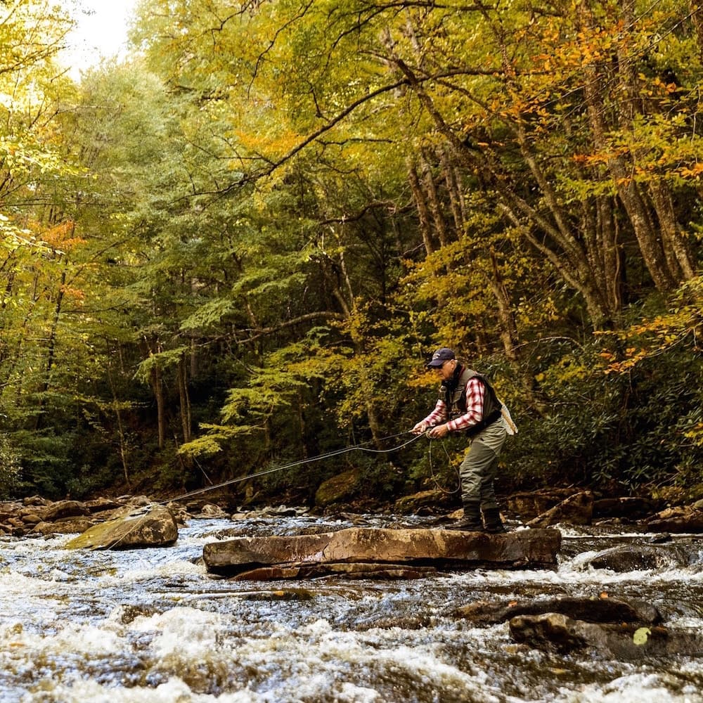 Cranberry River — 