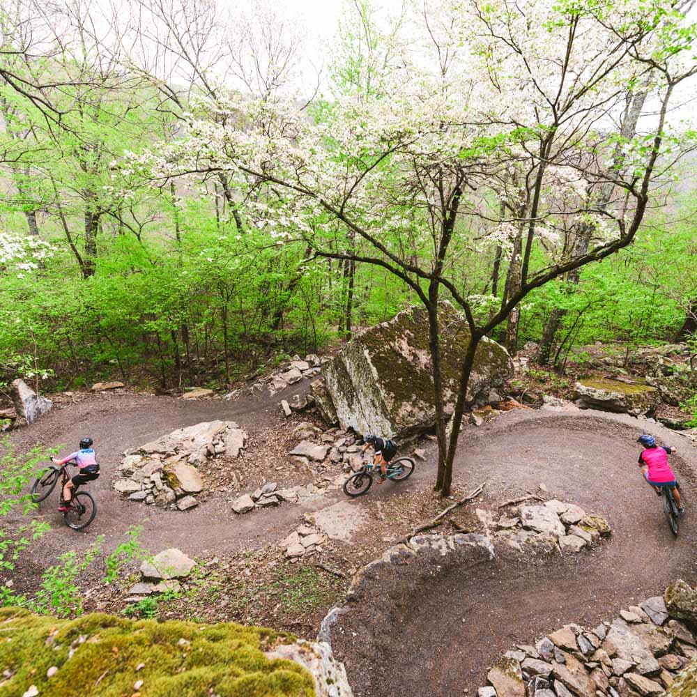 Devil's Den State Park — 