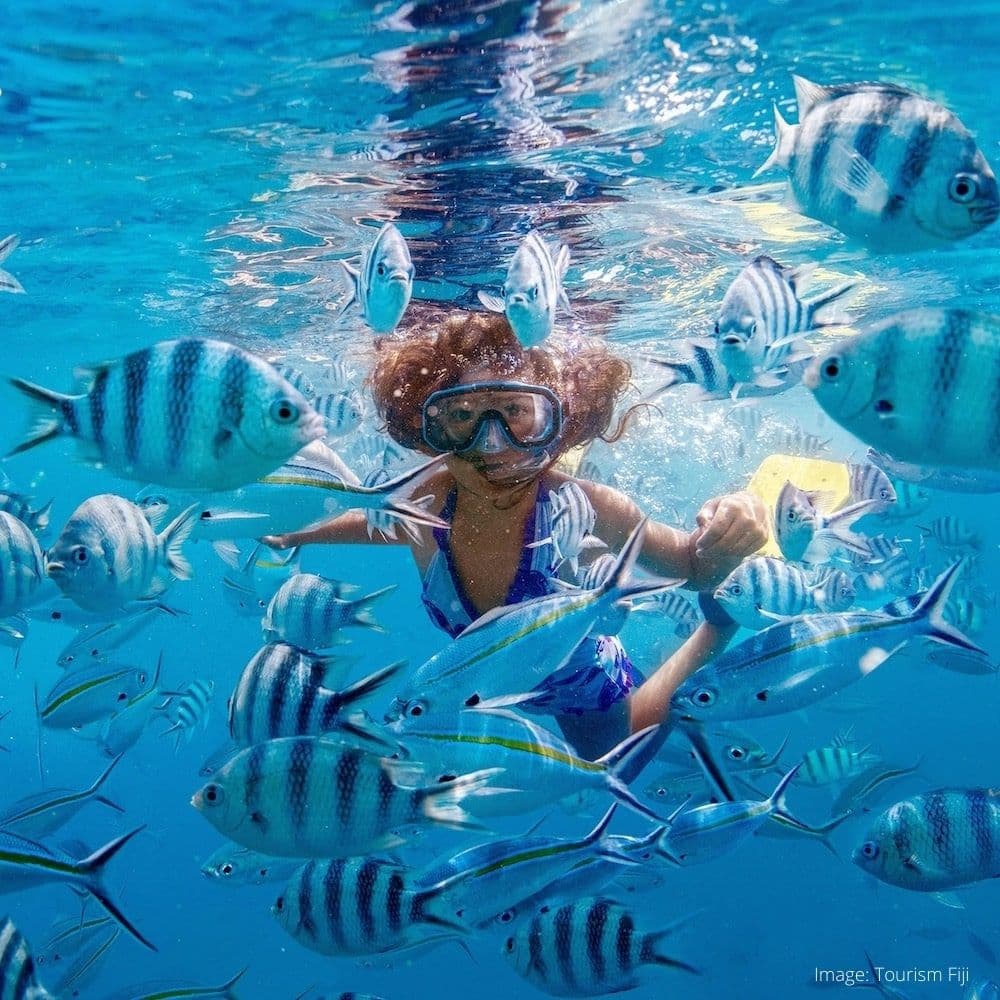 Jackie's Reef — Fiji, Oceania