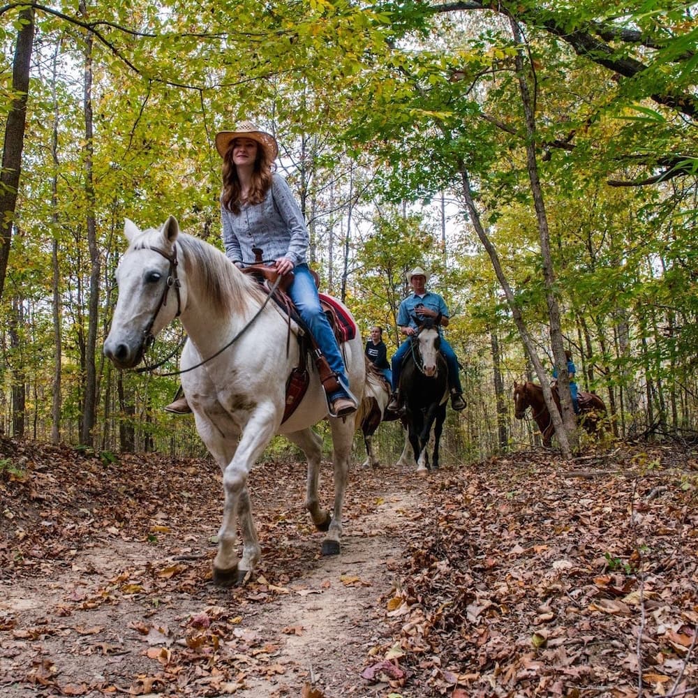 Village Creek State Park — Arkansas, United States, North America